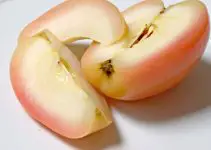 Best Sous Vide Apples Recipe