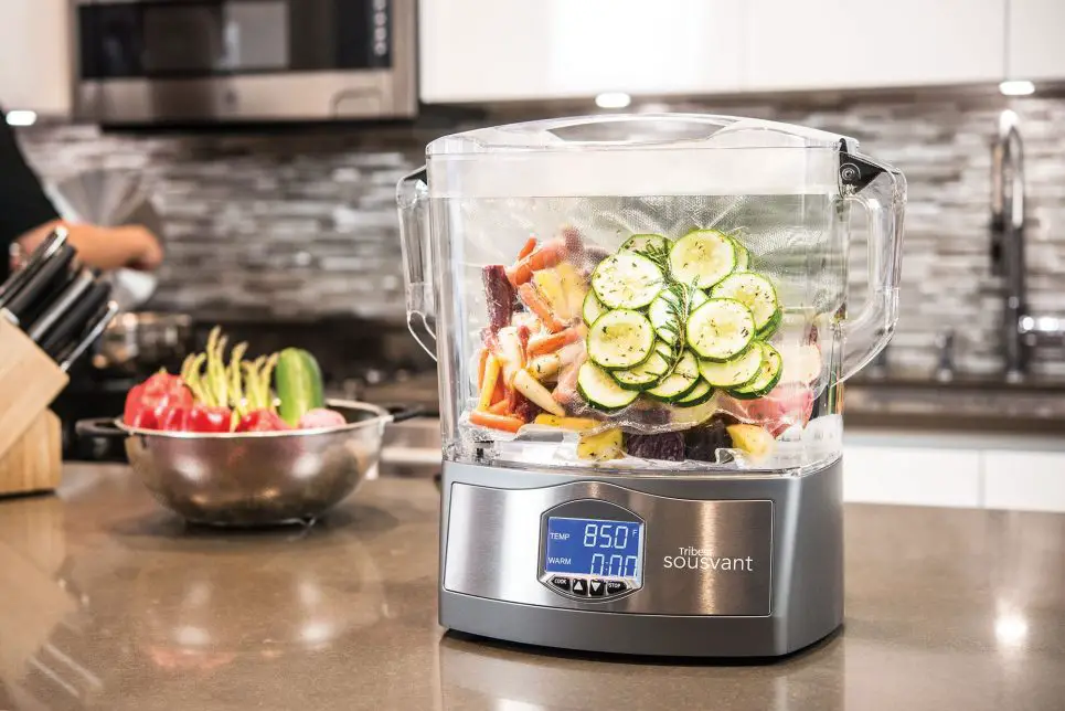 Tribest Sousvant SV-101 Sous Vide Review 2019 - Sous Vide Wizard