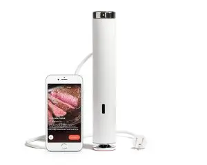 Sous Vide Joule Breville CS10001 White Stainless Immersion Circulator Precision 