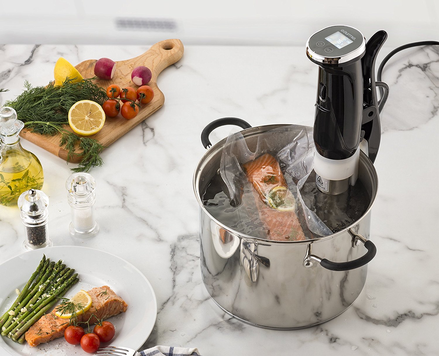 SO-VIDA Sous Vide Weights - Review