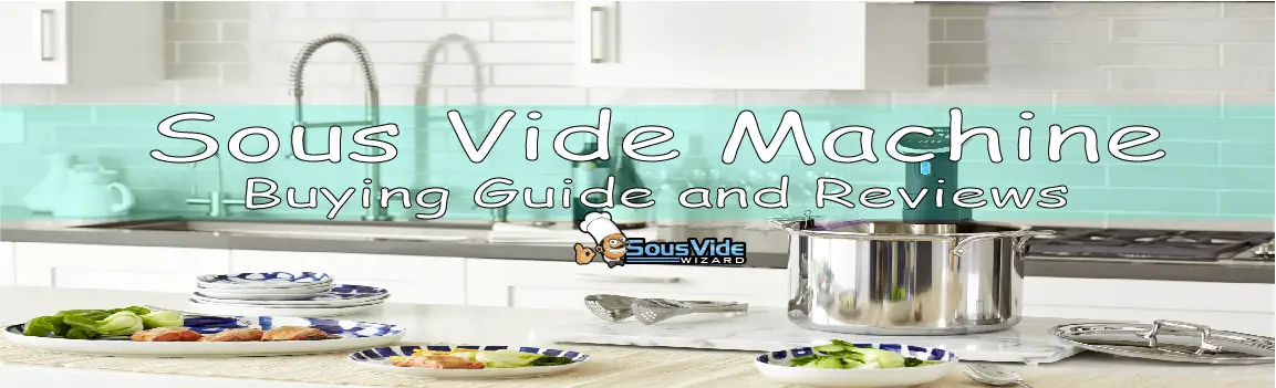 Best Sous Vide Machine Reviews